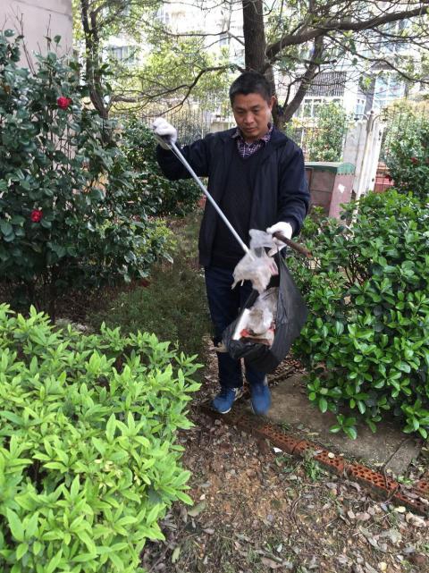 控制鼠害、預(yù)防疾病，構(gòu)建和諧文明社區(qū)